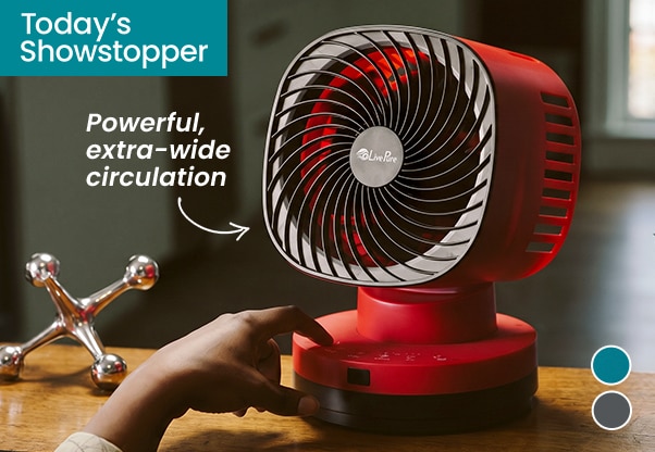 Hunter Home LivePure AirFury Orbital Oscillation Fan