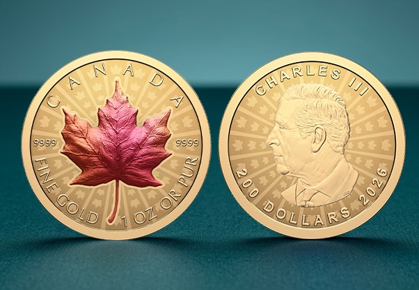 The Coin Show