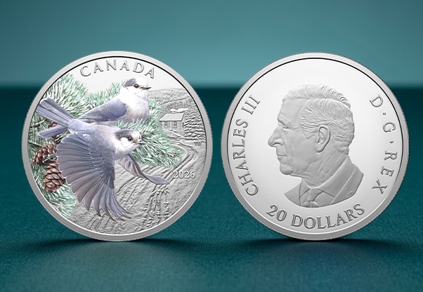 The Coin Show