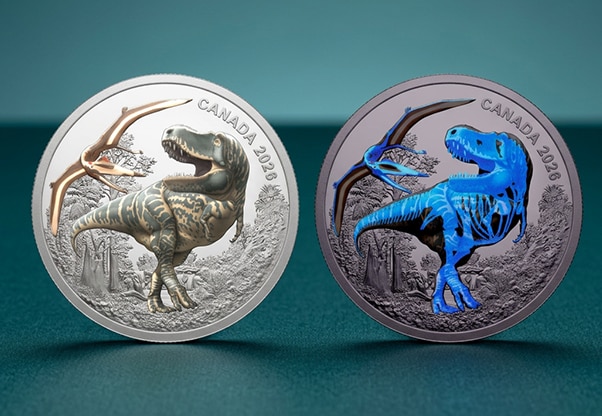 The Coin Show