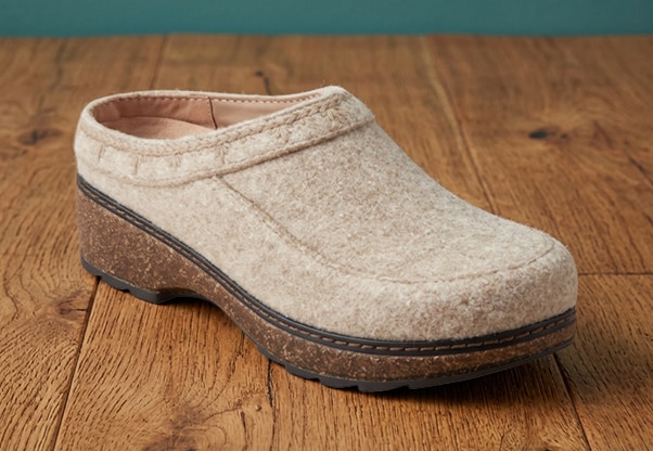 Earth Shoes