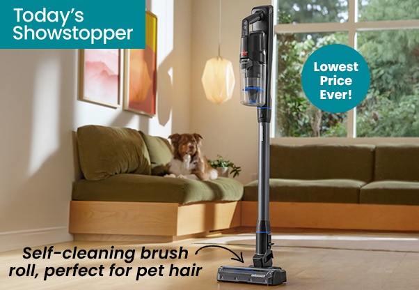 Bissell PowerClean FurFinder Cordless Stick Vacuum