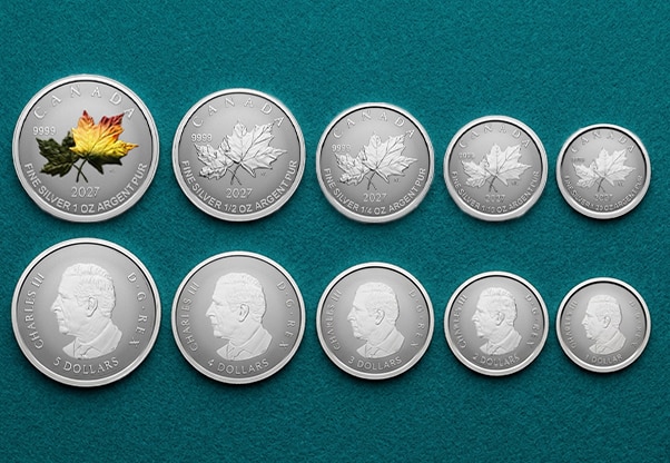 The Coin Show