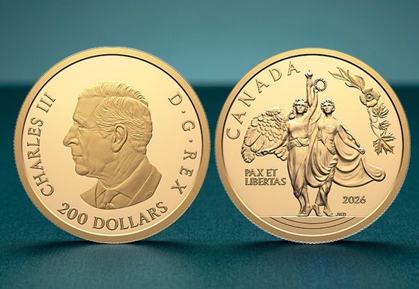 The Coin Show