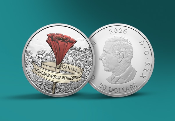 The Coin Show