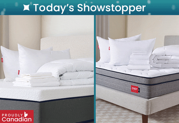 Endy Choice of: 2 Today's Showstopper Offers