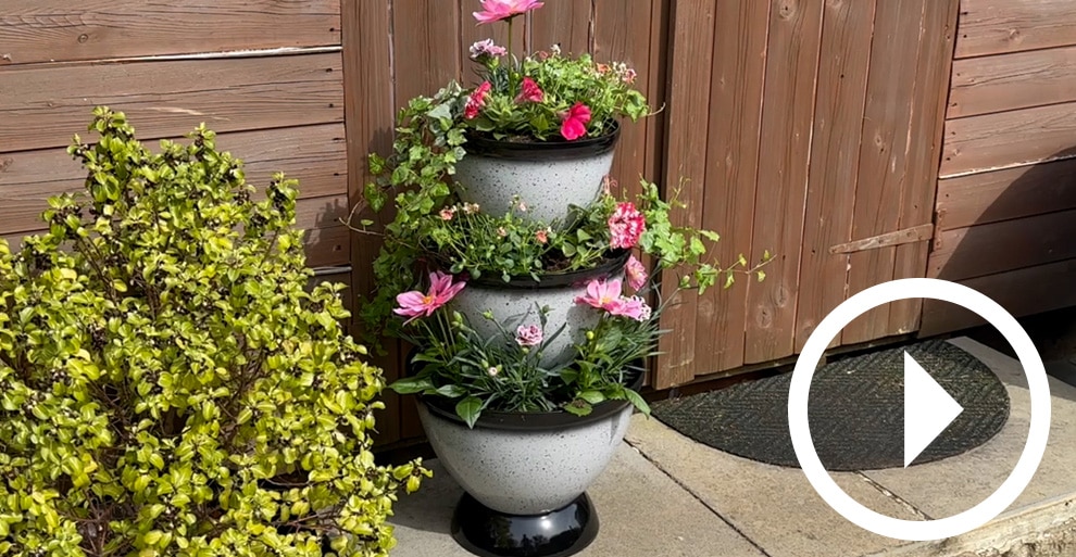 Grumpy Gardener - TSC.ca